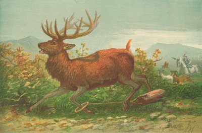Stag Hunting in the Time of Xenophon by English School